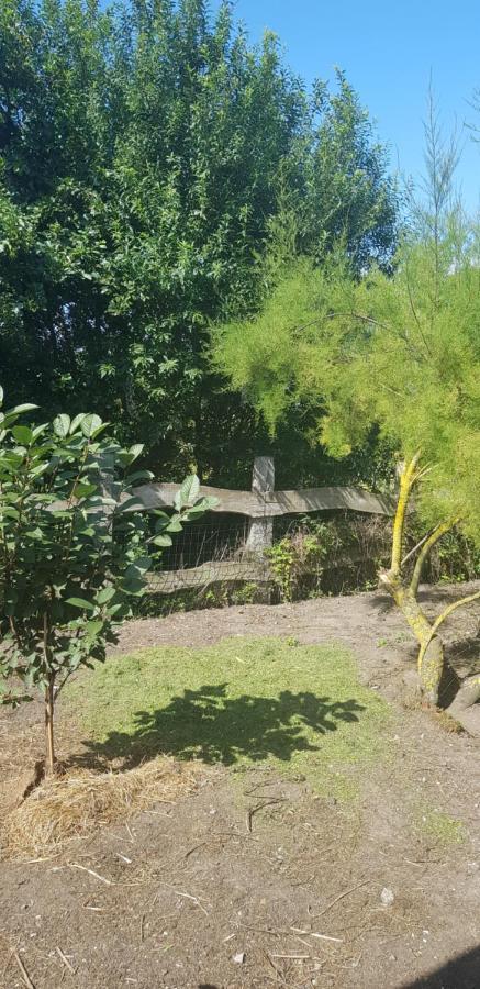 L Hyppo Camp' Bed & Breakfast Oye-Plage Exterior photo